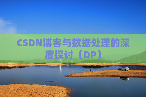 CSDN博客与数据处理的深度探讨（DP）